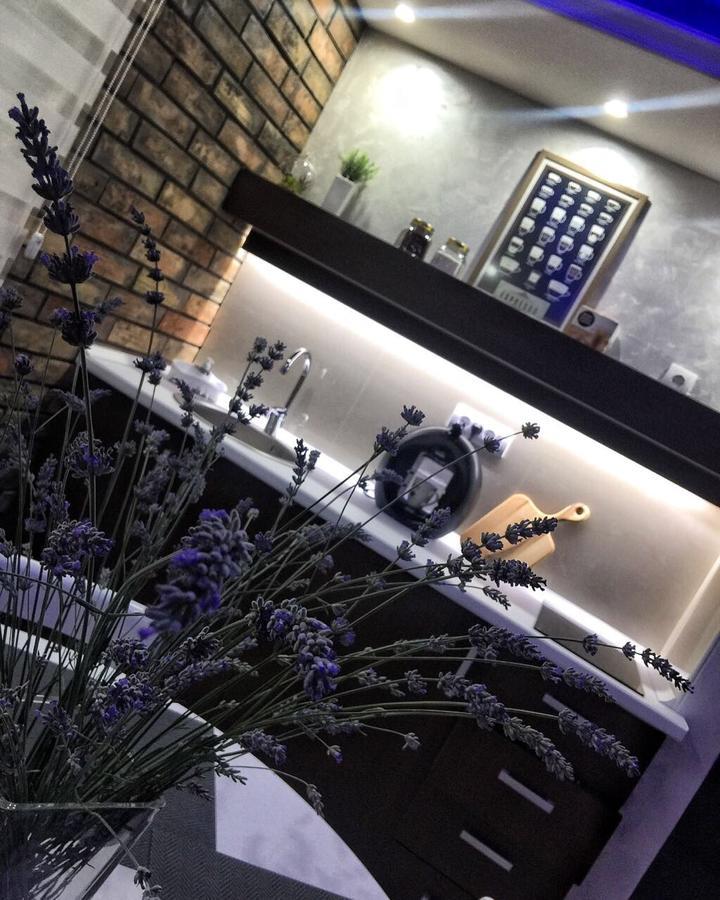 Appartamento Gardenlux Vrdnik Esterno foto