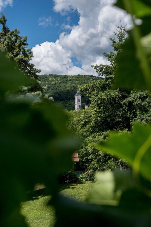 Appartamento Gardenlux Vrdnik Esterno foto
